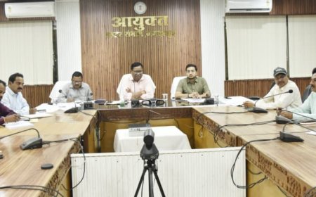 कमिश्नर बस्तर संभाग श्री डोमन सिंह ने की पंचायत एवं ग्रामीण विकास विभाग की योजनाओं की समीक्षा धरातल पर नजर आए योजनाओं के क्रियान्वयन का परिणाम-कमिश्नर श्री डोमन सिंह