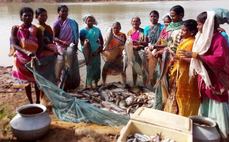 बस्तर में अब नीली क्रांति -25 सालों में, मछलीपालन उत्पादन 08 गुना बढ़ा ,जिले के 10 हजार से ज्यादा मत्स्यपालक एवं किसान हुए लाभान्वित–