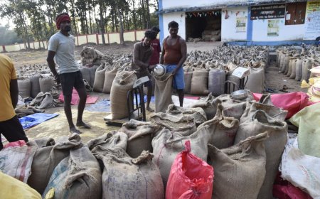 जमावाड़ा धान उपार्जन केंद्र में, सुगमता और सहयोग की मिसाल- किसानों ने जताई संतुष्टि