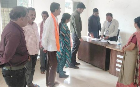 कलेक्टर श्री हरिस एस ने परचनपाल में किया विशेष गहन ,पुनरीक्षण प्रक्रिया का निरीक्षण