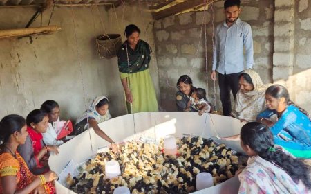 ब्रुडिंग सेंटर ने बढ़ाई बस्तर के पशुपालकों की उम्मीदें,  30 गांवों के 300 परिवार हो रहे लाभान्वित