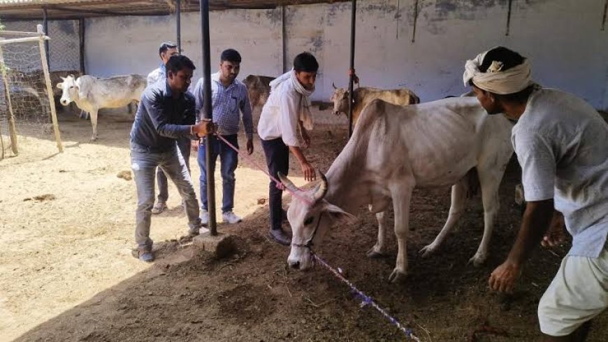 एव्हीएफओ के पद पर एकमुश्त मानदेय पर भर्ती हेतु 17 नवम्बर तक दावा-आपत्ति आमंत्रित