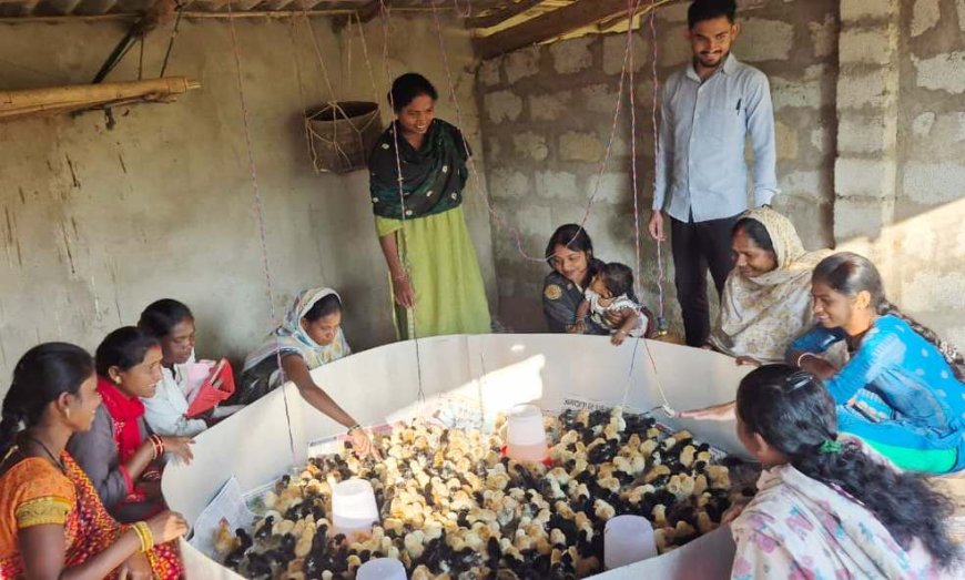 ब्रुडिंग सेंटर ने बढ़ाई बस्तर के पशुपालकों की उम्मीदें,  30 गांवों के 300 परिवार हो रहे लाभान्वित