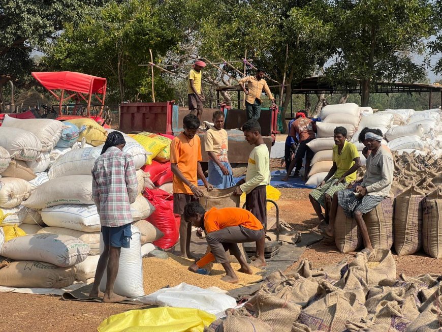 धान खरीदी व्यवस्था से किसानों में खुशी का माहौल  , मूली धान खरीदी केंद्र में किसानों ने कहा मिल रही सभी को  सहूलियत
