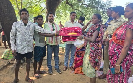 बस्तर में शांति का नया अध्याय - नक्सल मुक्त इलाकों में वानिकी कार्य बने रोजगार का प्रमुख जरिया