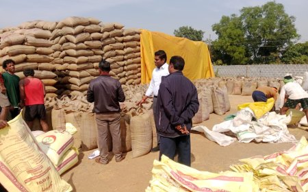 कलेक्टर श्री हरिस एस ने किया सान देवड़ा धान संग्रहण केंद्र का औचक निरीक्षण