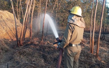 दो स्थानों पर अग्निशमन दल ने पैरावट की आग पर पाया काबू–