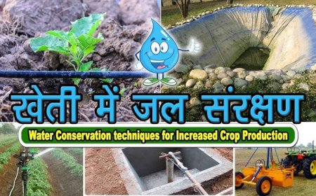 बस्तर: लालगुड़ा में कल सजेगा 'वाटरशेड महोत्सव' का मंच, जल संरक्षण और उन्नत कृषि पर होगा महामंथन