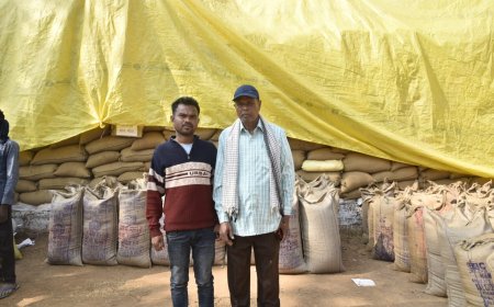 समर्थन मूल्य पर धान विक्रय से मिला खेती-किसानी को बढ़ावा, अब रबी फसल की तैयारी में लगे किसान