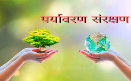 बस्तर में पर्यावरण संरक्षण की दिशा में अनूठी पहल: 26 दिसंबर को 'ग्रीन पैकेजिंग' पर होगी कार्यशाला