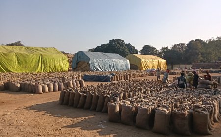 बस्तर संभाग के धान खरीदी केंद्रों में ,धान का उठाव नहीं होने से भारी किल्लत–