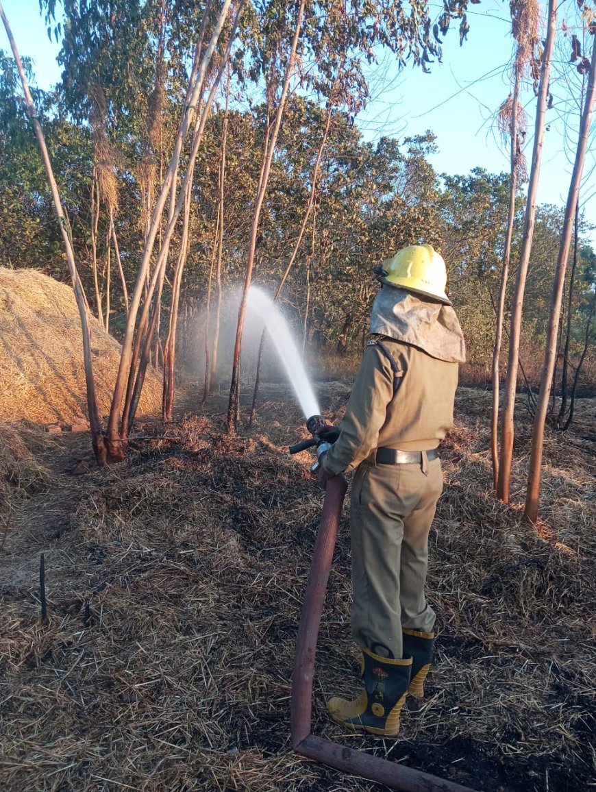दो स्थानों पर अग्निशमन दल ने पैरावट की आग पर पाया काबू–