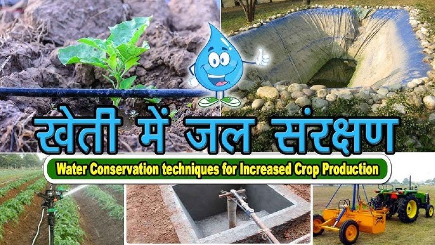 बस्तर: लालगुड़ा में कल सजेगा 'वाटरशेड महोत्सव' का मंच, जल संरक्षण और उन्नत कृषि पर होगा महामंथन