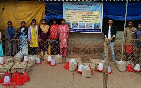 कोपागुड़ा बु्रडिंग सेंटर बना महिला आत्मनिर्भरता का मजबूत आधार,  महिला संकुल की 18 दीदियों को मिले ‘असील’ नस्ल के चूजे