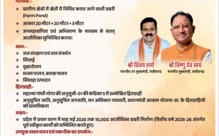 436 डबरियों के निर्माण का लक्ष्य, 255 डबरियों की मिल चुकी स्वीकृति