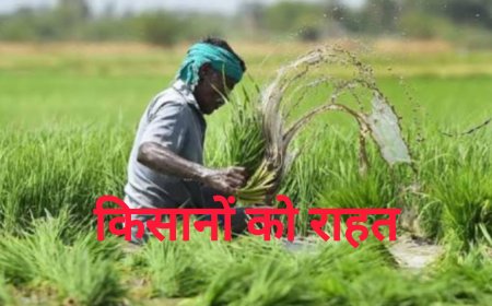 किसानों को बड़ी राहत, एकीकृत किसान पोर्टल पर पंजीयन और सुधार हेतु फिर मौका