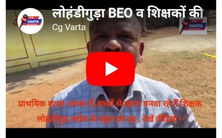 लोहंडीगुड़ा  BEO व शिक्षकों की लापरवाही , क्यों नहीं दिया जा रहा स्कूल के बच्चों पर ध्यान–