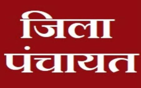 जिला पंचायत स्थायी समितियों की बैठकों में लापरवाही,सीईओ जिला पंचायत ने अधिकारियों को दी अनुशासनात्मक कार्यवाही की नोटिस
