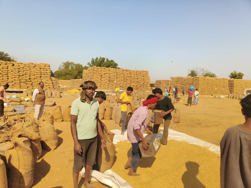 खरीफ विपणन वर्ष 2025-26 के तहत समर्थन मूल्य पर धान उपार्जन