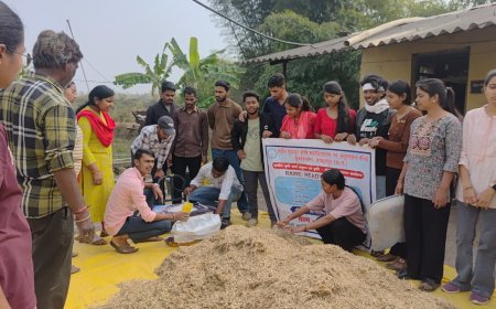 यूरिया उपचार से साधारण चारे को पौष्टिक आहार में बदल रहे कृषि वैज्ञानिक