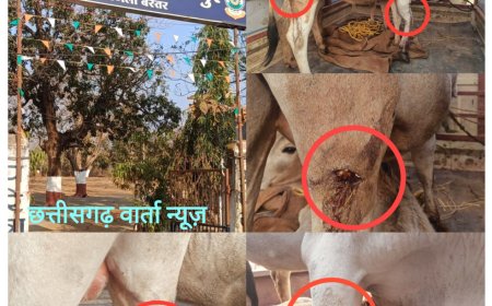 ईसाई मतांतरित युवक ने गाय-बछड़ों पर किया टंगिया से हमला, चार मवेशी गंभीर रूप से हुए घायल