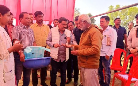 ग्राम पंचायत धर्माऊर में राष्ट्रीय फाइलेरिया उन्मूलन अभियान का भव्य शुभारंभ