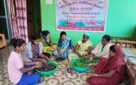 बस्तर की 'बिहान' दीदियां घोलेंगी होली में कुदरती रंग