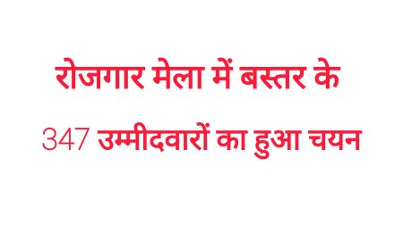 बस्तर संभाग के युवाओं को मिला रोजगार का बड़ा मंच , दो दिवसीय मेले में 347 उम्मीदवारों का हुआ चयन