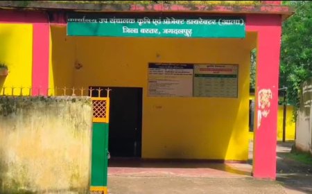 राष्ट्रीय कृषि विस्तार प्रबंधन संस्थान द्वारा संचालित 1 वर्ष डिप्लोमा अंतर्गत निर्धारित 40 सीटों हेतु भर्ती –