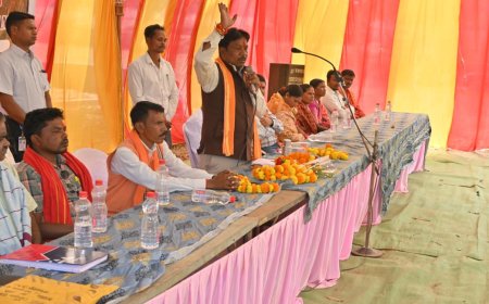 नानगुर के बिरिंगपाल में आयोजित विकसित भारत जी-राम जी विधेयक कार्यशाला में सांसद महेश कश्यप ने किया विस्तृत संबोधन