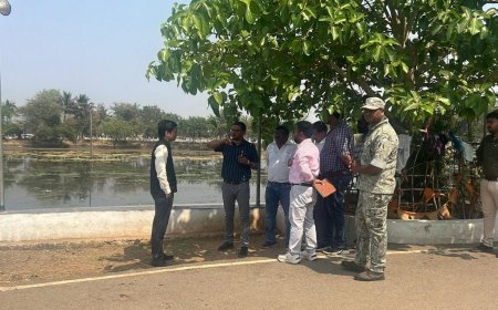 कलेक्टर श्री आकाश छिकारा ने बस्तर आर्ट गैलरी (कलागुड़ी) का किया निरीक्षण