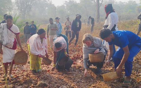 अंतरराष्ट्रीय विशेषज्ञ सुश्री किर्सी ने धुड़मारास के जंगलों में पक्षियों की चहचहाहट के साथ की दिन की शुरुआत