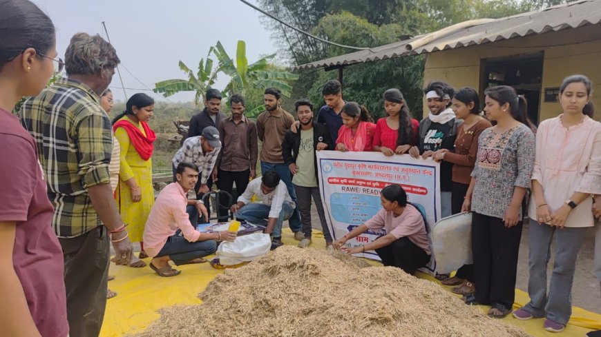 यूरिया उपचार से साधारण चारे को पौष्टिक आहार में बदल रहे कृषि वैज्ञानिक