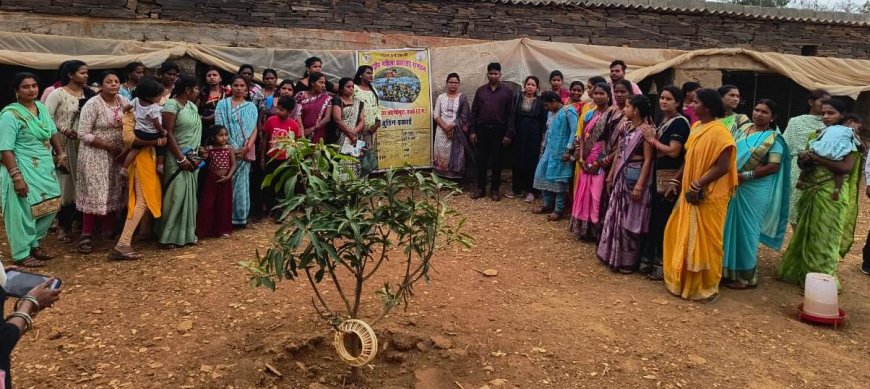 बस्तर के नवाचार देख उत्साहित हुईं बिलासपुर की दीदियाँ , एक्सपोजर विजिट में सीखीं इंटीग्रेटेड फार्मिंग की बारीकियां