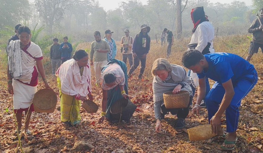 अंतरराष्ट्रीय विशेषज्ञ सुश्री किर्सी ने धुड़मारास के जंगलों में पक्षियों की चहचहाहट के साथ की दिन की शुरुआत