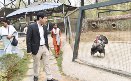 कलेक्टर श्री आकाश छिकारा ने किया लामनी पार्क का सघन निरीक्षण