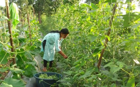 बस्तर की अनीता ने बदली अपनी किस्मत , 'बिहान' और एकीकृत खेती से बनीं 'लखपति दीदी'