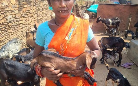 संघर्षों को मात देकर 'मोंगरा फूल' की तरह महकी दशमी नाग की किस्मत