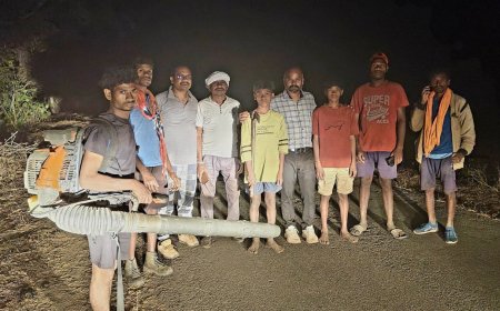 धधकते जंगल को बचाने के लिए आग की लपटों से भिड़ गए दो मासूम