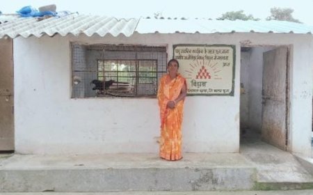 बस्तर की बालमती बघेल ने 'बिहान' से बदली अपनी तकदीर, बनीं प्रेरणादायक 'लखपति दीदी'