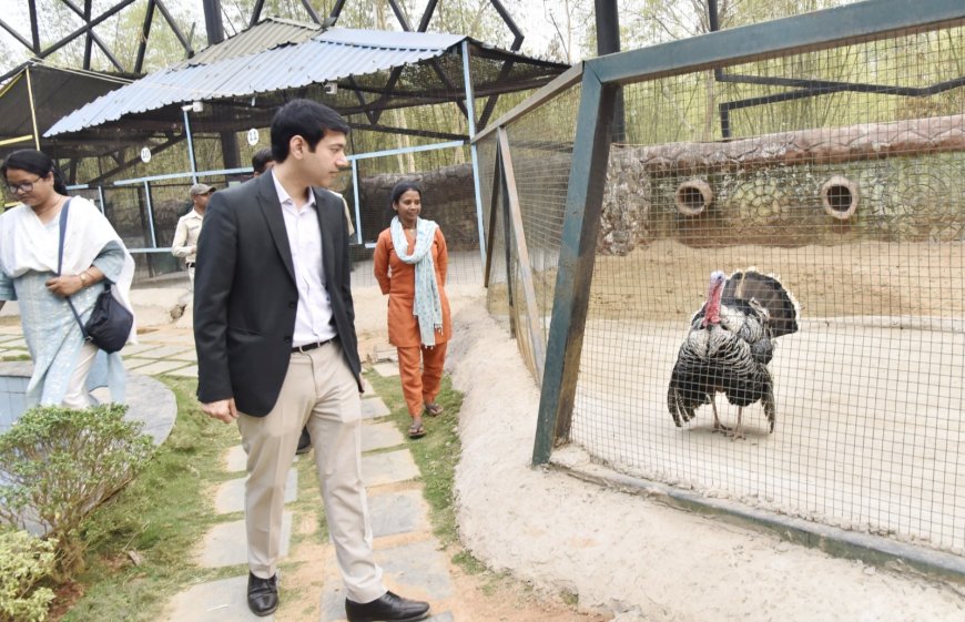 कलेक्टर श्री आकाश छिकारा ने किया लामनी पार्क का सघन निरीक्षण