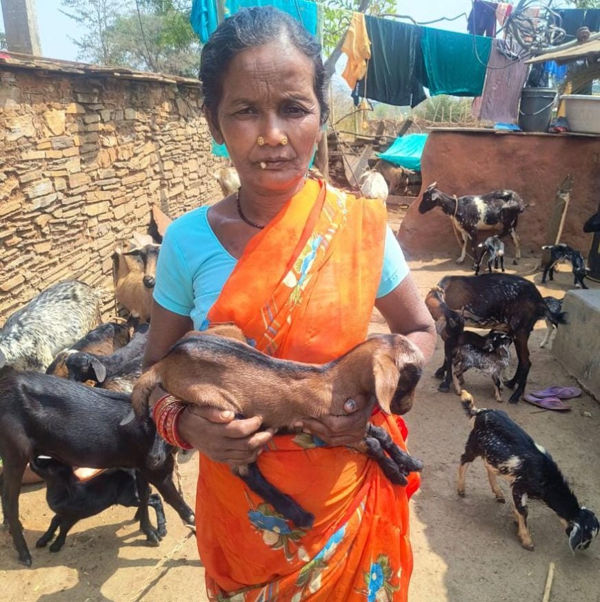 संघर्षों को मात देकर 'मोंगरा फूल' की तरह महकी दशमी नाग की किस्मत