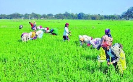 खरीफ और रबी सीजन के लिए जिला स्तरीय कृषि नियंत्रण कक्ष स्थापित