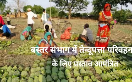 13 अप्रैल से शुरू होगी  बस्तर संभाग में तेन्दूपत्ता परिवहन प्रक्रिया