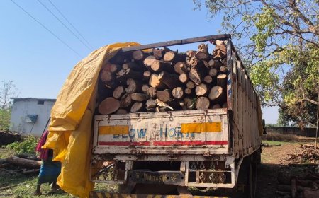 करपावंड में अवैध लकड़ी तस्करी पर वन विभाग का कड़ा प्रहार