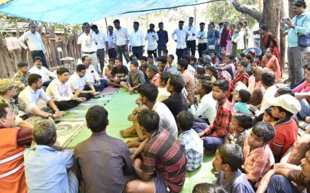 पैरी पखना गांव में कलेक्टर की चौपाल,  हर महीने के तीसरे सोमवार को होगा स्वास्थ्य शिविर