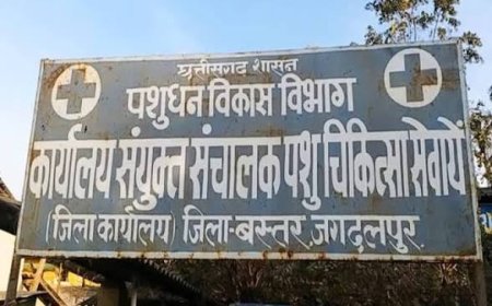 बस्तर जिले में खुरपका-मुंहपका रोग के खिलाफ 64 टीमें तैनात