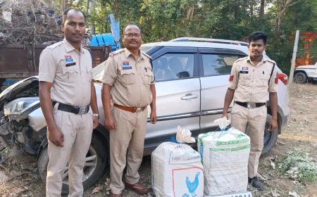नारहरपुर पुलिस द्वारा अवैध मादक पदार्थों के विरुद्ध कार्रवाई 67.380 किलोग्राम गांजा जप्त , आरोपी फरार