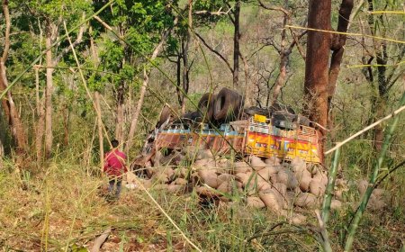 कोलेंग घाट में धान से भरा ट्रक पलटा, चालक-परिचालक की मौत