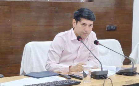 कलेक्टर ने दिए निर्देश, लंबित प्रकरणों  को 1 मई से पूर्व निराकृत करने पर जोर